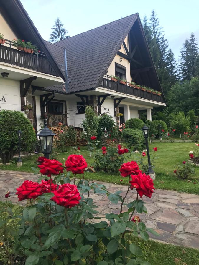 Complex Vile- Milana M Residence Poiana Brasov Εξωτερικό φωτογραφία
